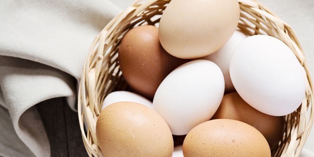 Æg uden PFAS - høns i haven - Rosenbud