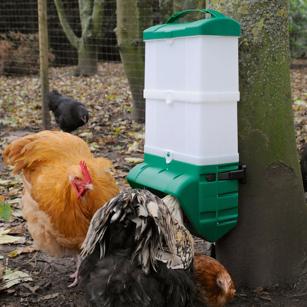 Wise Feeder spildfri foderautomat til høns fra Rosenbud