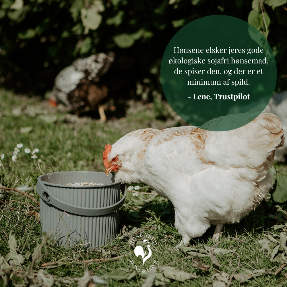 Anmeldelse af økologisk Farmermix fra Rosenbud