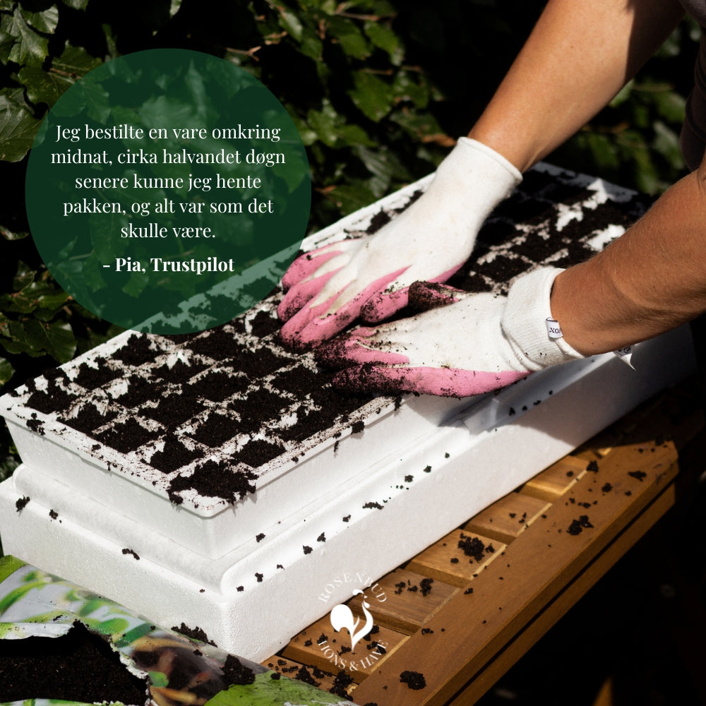 Anmeldelse af selvvandingspotte Rosenbud