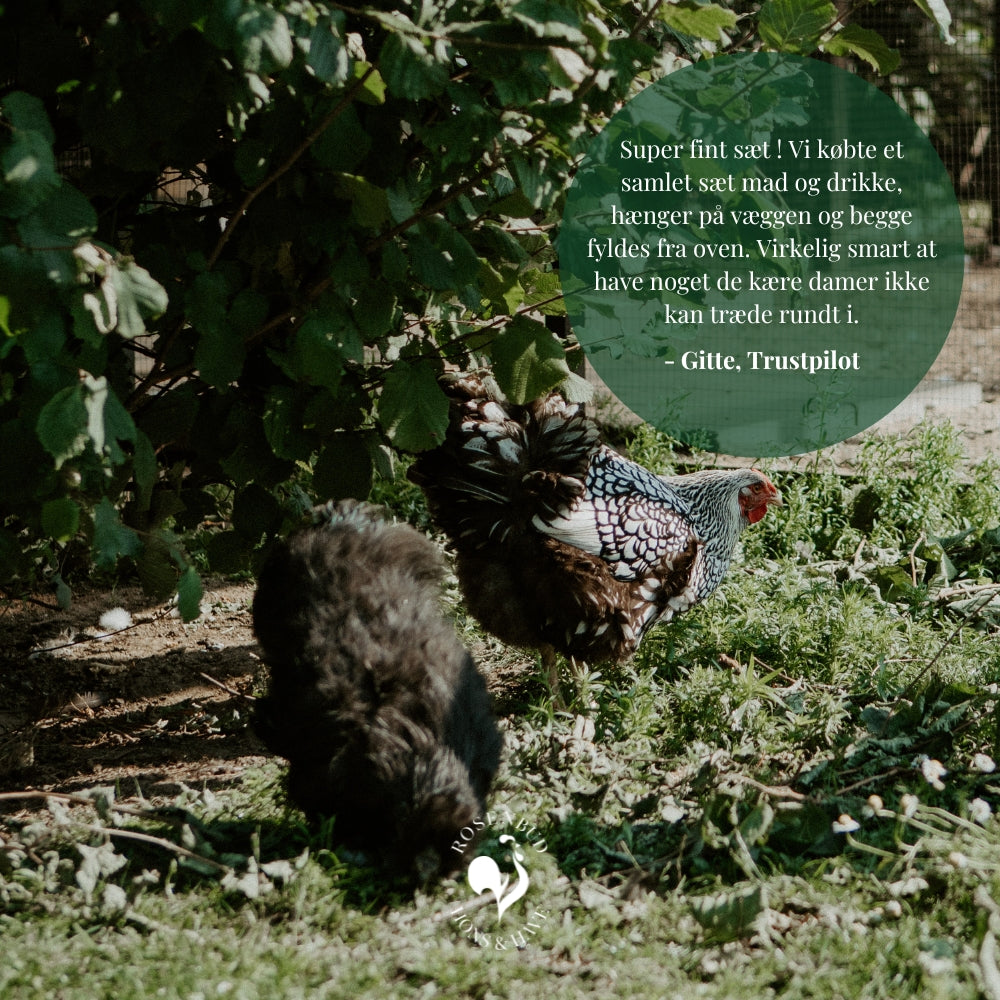 Anmeldelse af Wise Feeder og Wise Drinker