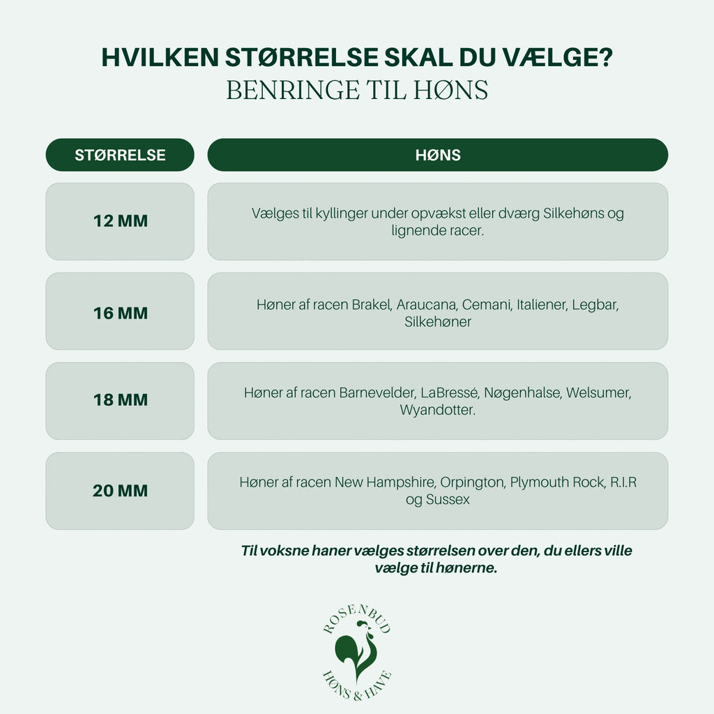 HVILKEN størrelse benringe til høns
