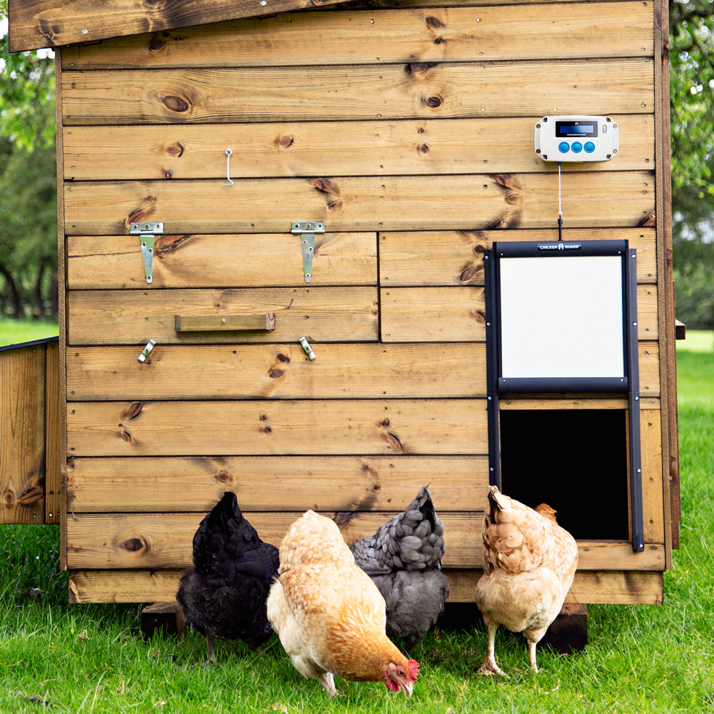 ChickenGuard Combi Pro - automatik til hønsehuset inklusiv selvlåsende dør