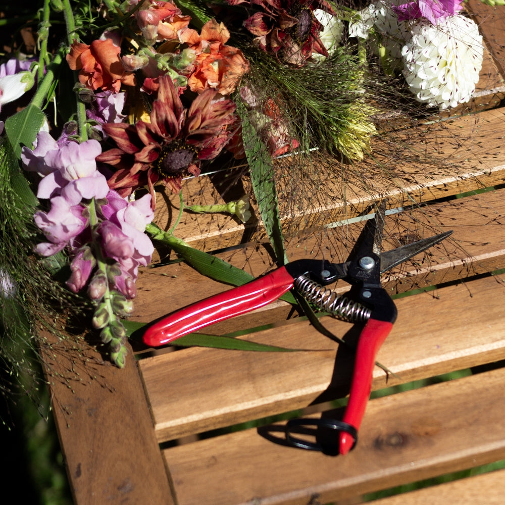 Blomstersaks fra ARS
