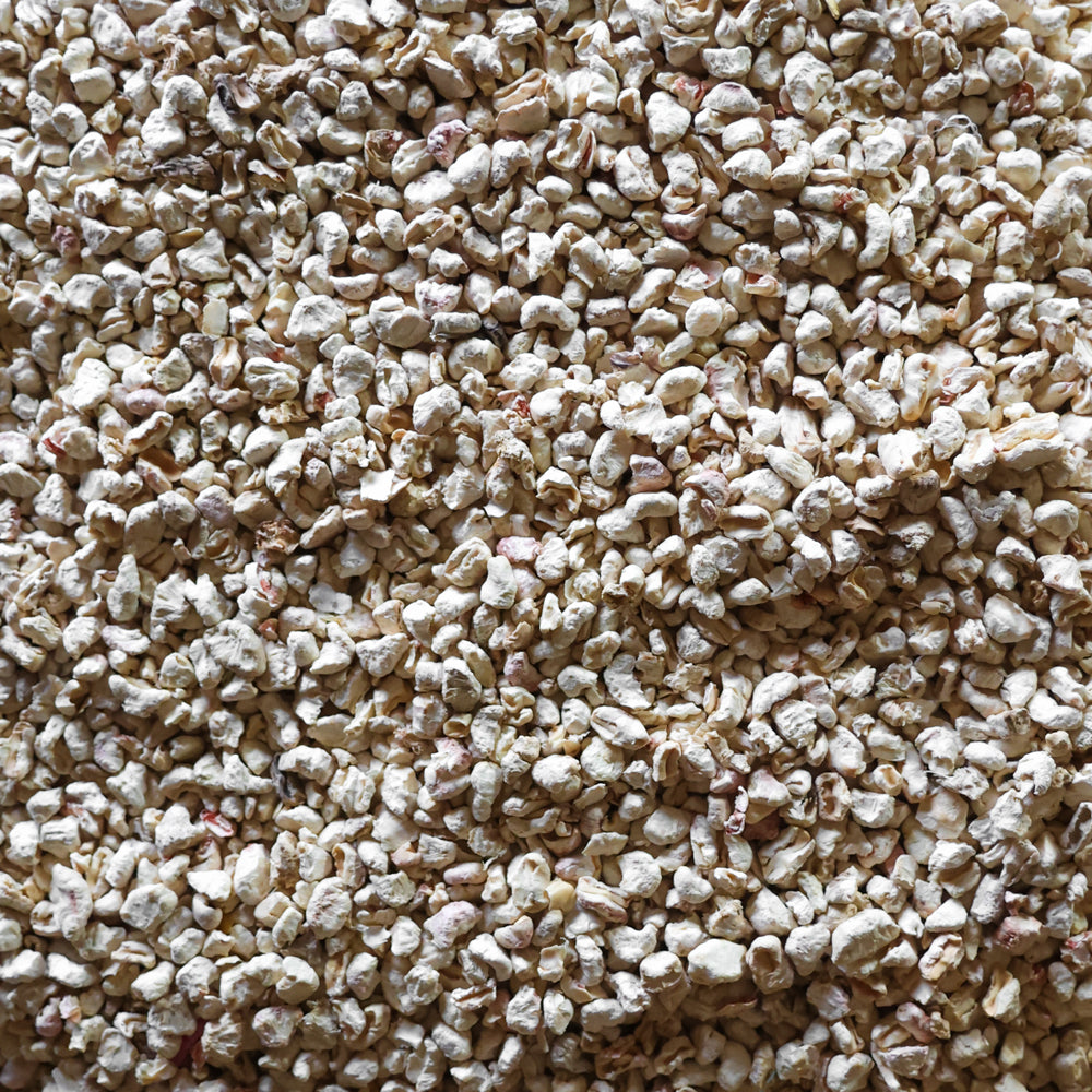 Majsstrøelse bunddække hønsehus