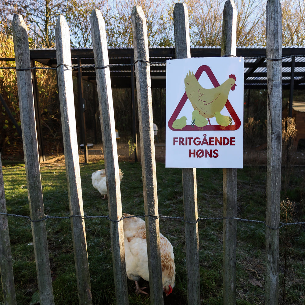 UV bestandig skilt fritgående høns