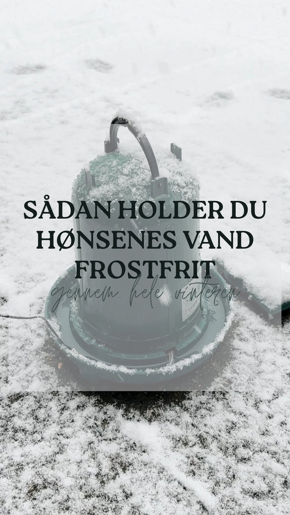 Hold dine høns' vand frostfrit med varmekabel