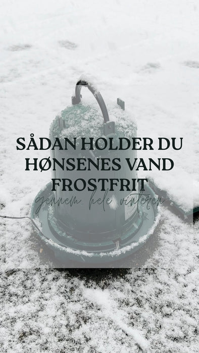 Hold dine høns' vand frostfrit med varmekabel