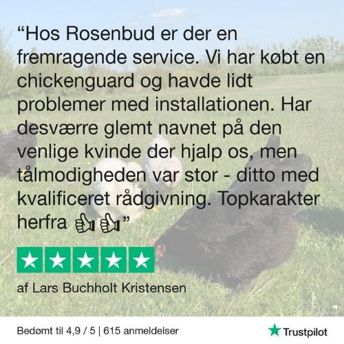 Anmeldelse af Chickenguard hos Rosenbud