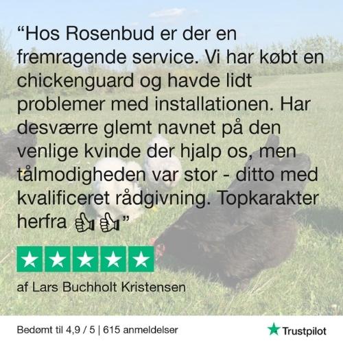 God grund til at vælge en Chickenguard fra Rosenbud